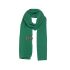 liv scarf bright green